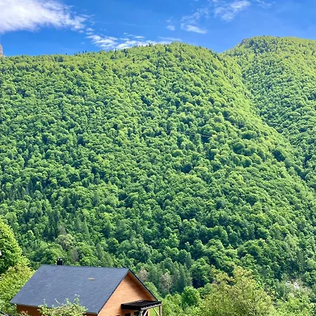6 Personnes, Vue Splendide Sur La Montagne, Aas * Eaux-Bonnes