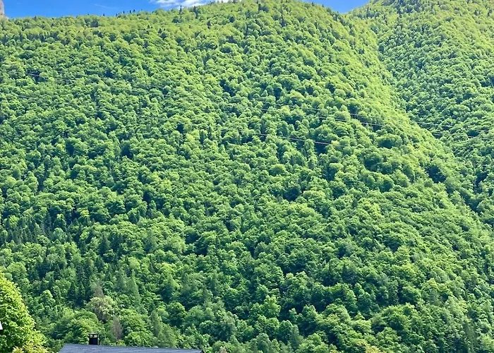 6 Personnes, Vue Splendide Sur La Montagne, Aas * Eaux-Bonnes